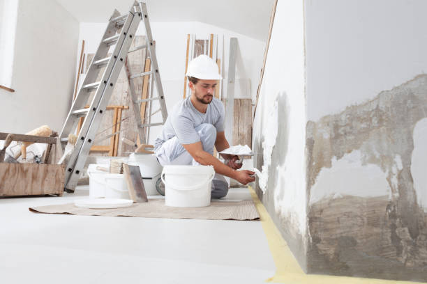 Best Drywall Sanding and Smoothing  in Tioga, ND